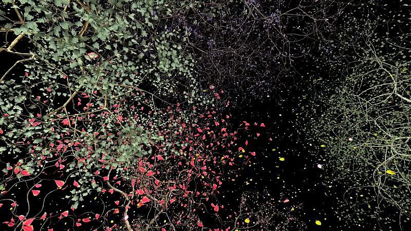 Jennifer Steinkamp, Orbit 7
2010, Video Installation